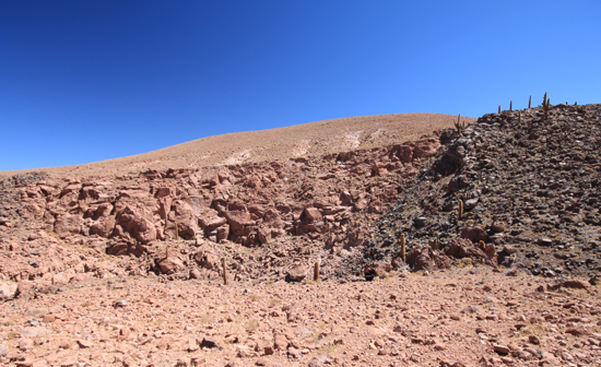 Falksalt chile atacama