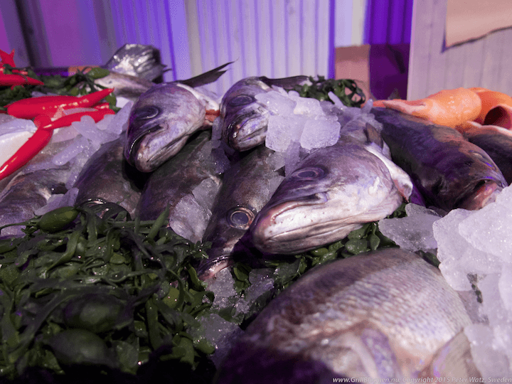 Gourmet Food inte bara kott 8