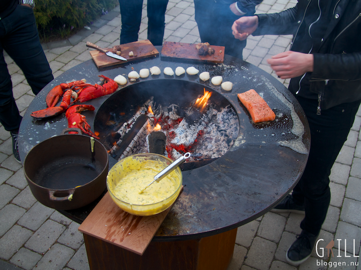 ofyr grill stekplatta stekta pilgrimsmusslor grillad hummer